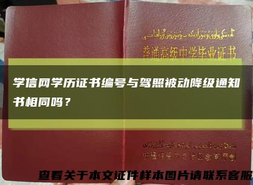學信網學歷證書編號與駕照被動降級通知書相同嗎？縮略圖