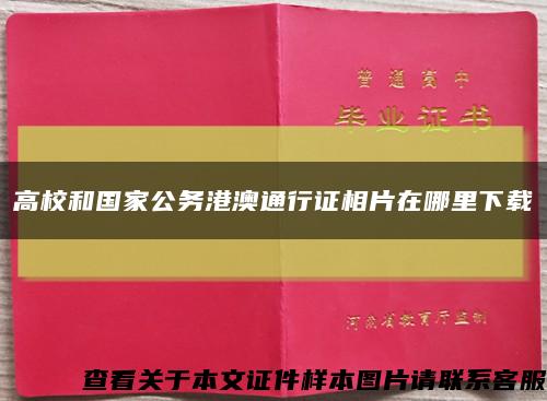高校和國家公務港澳通行證相片在哪里下載縮略圖