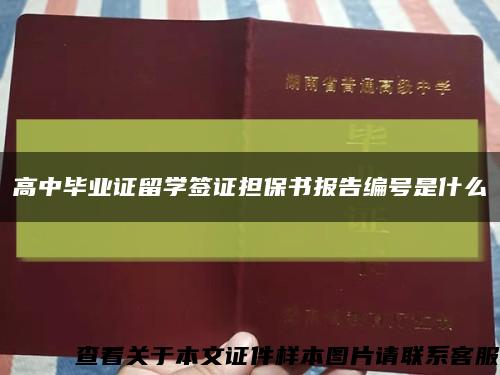 高中畢業證留學簽證擔保書報告編號是什么縮略圖