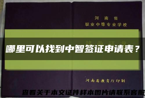 哪里可以找到中智簽證申請表？縮略圖