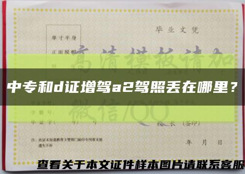 中專和d證增駕a2駕照丟在哪里？縮略圖