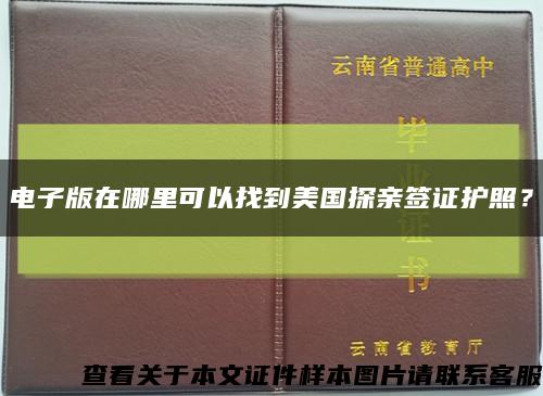 電子版在哪里可以找到美國探親簽證護照？縮略圖