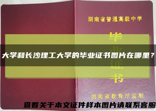 大學和長沙理工大學的畢業證書圖片在哪里？縮略圖