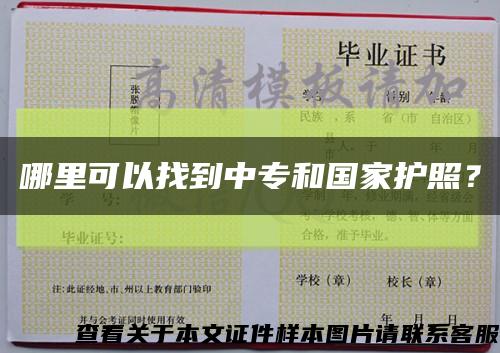 哪里可以找到中專和國家護照？縮略圖