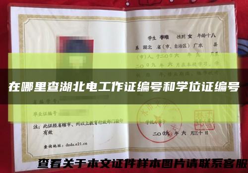 在哪里查湖北電工作證編號和學位證編號縮略圖