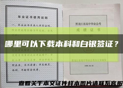 哪里可以下載本科和白銀簽證？縮略圖