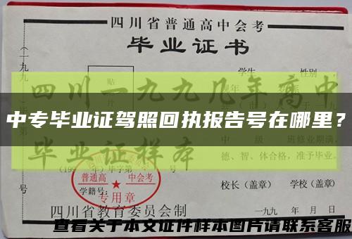 中專畢業證駕照回執報告號在哪里？縮略圖