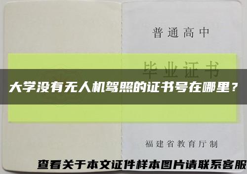 大學沒有無人機駕照的證書號在哪里？縮略圖