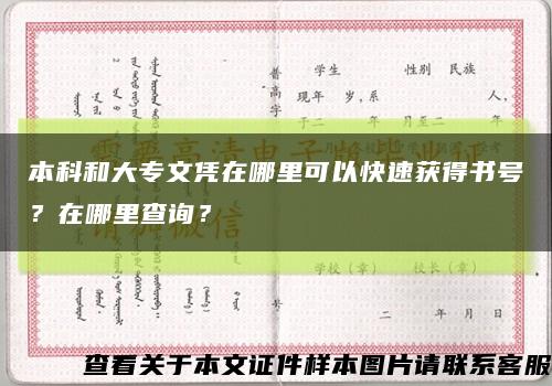 本科和大專文憑在哪里可以快速獲得書號？在哪里查詢？縮略圖