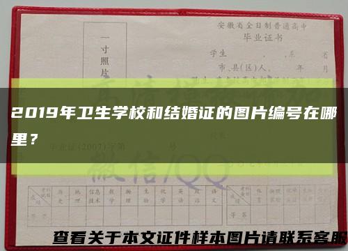 2019年衛生學校和結婚證的圖片編號在哪里？縮略圖