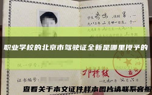職業學校的北京市駕駛證全新是哪里授予的縮略圖