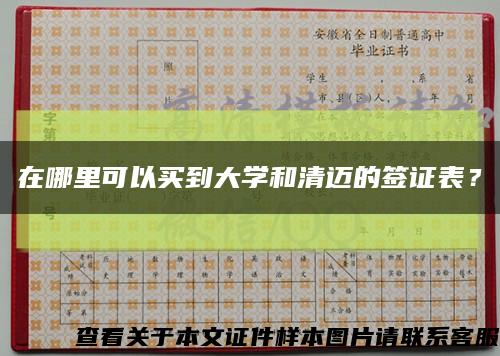 在哪里可以買到大學和清邁的簽證表？縮略圖