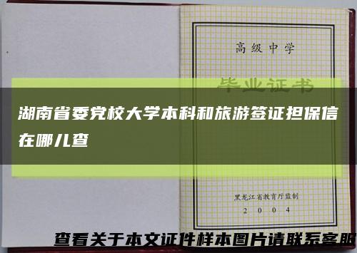 湖南省委黨校大學本科和旅游簽證擔保信在哪兒查縮略圖