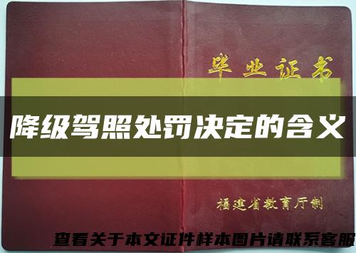 降級駕照處罰決定的含義縮略圖
