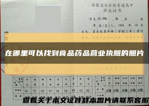在哪里可以找到食品藥品營業執照的照片縮略圖