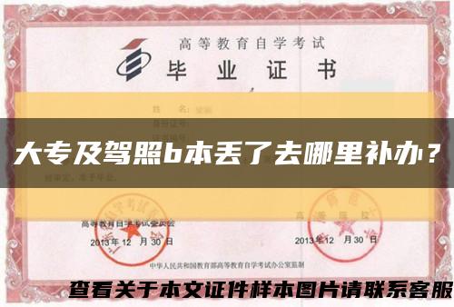 大專及駕照b本丟了去哪里補辦？縮略圖