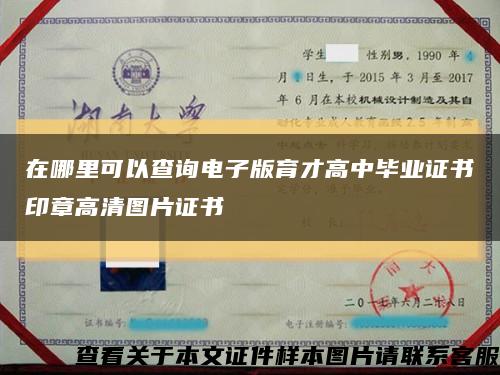 在哪里可以查詢電子版育才高中畢業證書印章高清圖片證書縮略圖