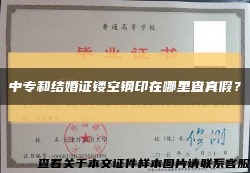 中專和結婚證鏤空鋼印在哪里查真假？縮略圖