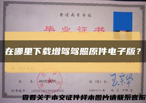 在哪里下載增駕駕照原件電子版？縮略圖