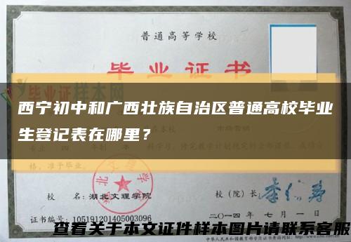 西寧初中和廣西壯族自治區普通高校畢業生登記表在哪里？縮略圖