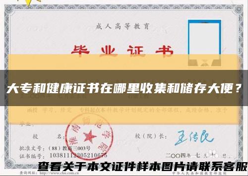 大專和健康證書在哪里收集和儲存大便？縮略圖