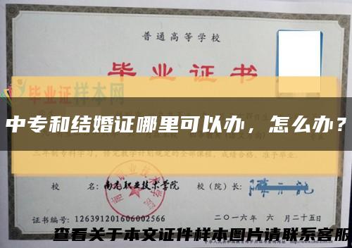 中專和結婚證哪里可以辦，怎么辦？縮略圖