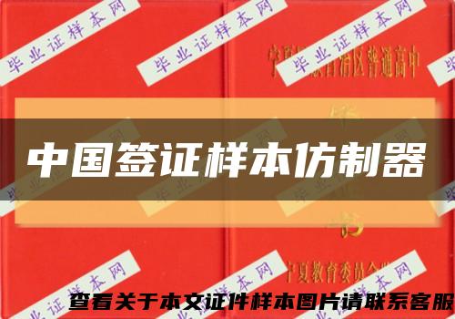 中國簽證樣本仿制器縮略圖