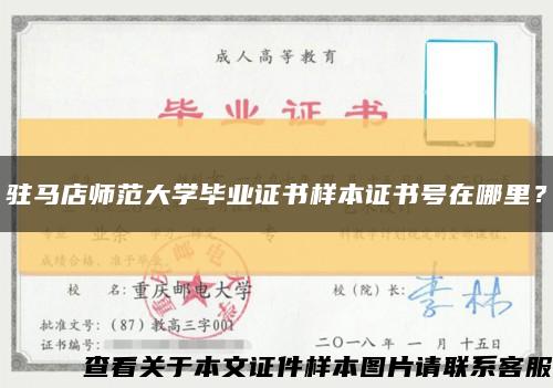 駐馬店師范大學畢業證書樣本證書號在哪里？縮略圖