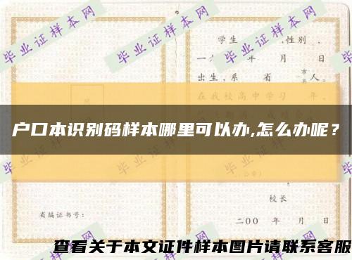 戶口本識別碼樣本哪里可以辦,怎么辦呢？縮略圖