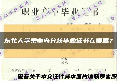 東北大學秦皇島分校畢業證書在哪里？縮略圖