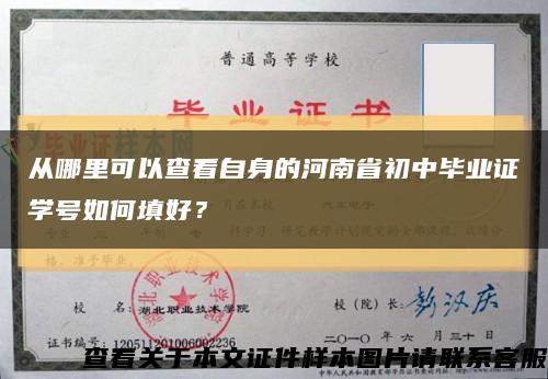從哪里可以查看自身的河南省初中畢業證學號如何填好？縮略圖