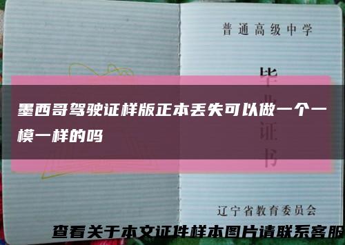 墨西哥駕駛證樣版正本丟失可以做一個一模一樣的嗎縮略圖