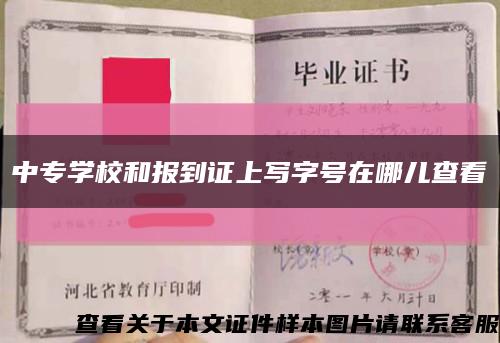 中專學校和報到證上寫字號在哪兒查看縮略圖
