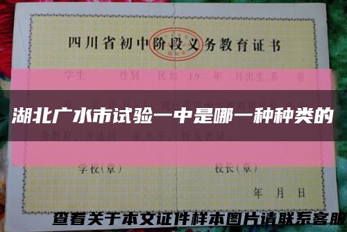 湖北廣水市試驗一中是哪一種種類的縮略圖