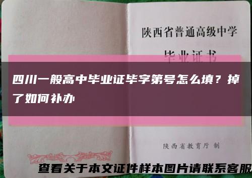 四川一般高中畢業證畢字第號怎么填？掉了如何補辦縮略圖