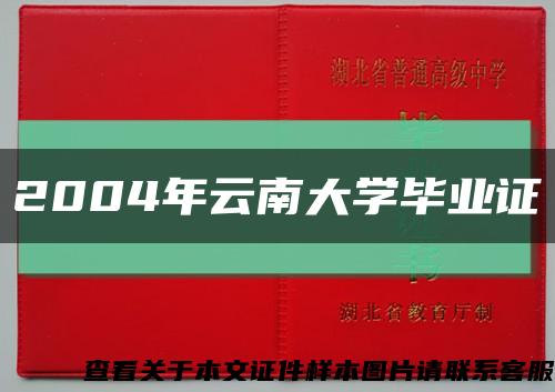 2004年云南大學畢業證縮略圖