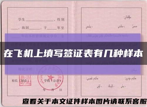 在飛機上填寫簽證表有幾種樣本縮略圖