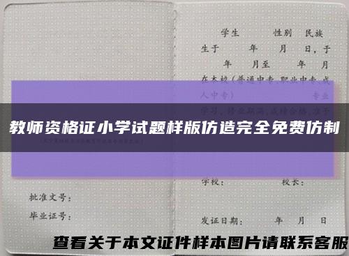 教師資格證小學試題樣版仿造完全免費仿制縮略圖