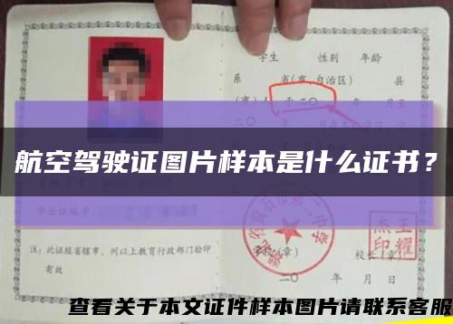 航空駕駛證圖片樣本是什么證書？縮略圖