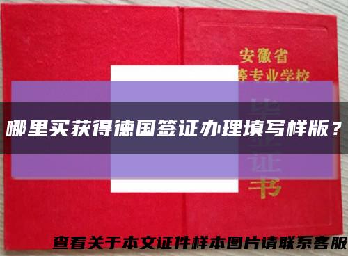 哪里買獲得德國簽證辦理填寫樣版？縮略圖