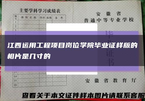 江西運用工程項目崗位學院畢業證樣版的相片是幾寸的縮略圖