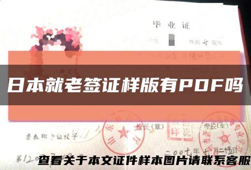 日本就老簽證樣版有PDF嗎縮略圖