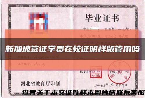 新加坡簽證學員在校證明樣版管用嗎縮略圖