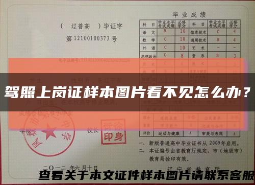 駕照上崗證樣本圖片看不見怎么辦？縮略圖