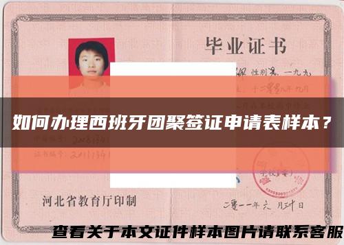 如何辦理西班牙團聚簽證申請表樣本？縮略圖
