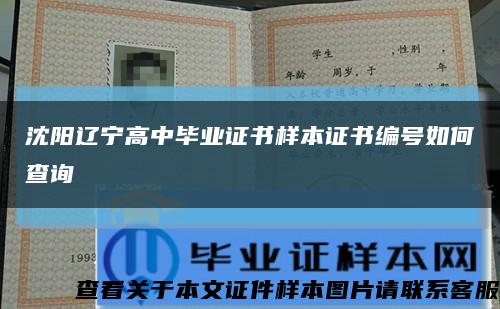沈陽遼寧高中畢業證書樣本證書編號如何查詢縮略圖