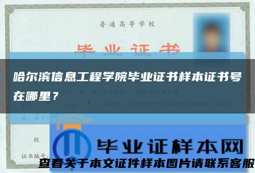 哈爾濱信息工程學院畢業證書樣本證書號在哪里？縮略圖