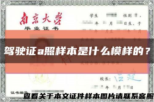 駕駛證a照樣本是什么模樣的？縮略圖