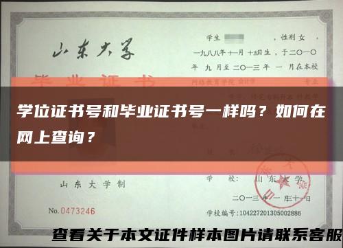 學位證書號和畢業證書號一樣嗎？如何在網上查詢？縮略圖