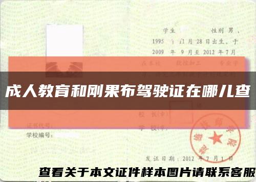 成人教育和剛果布駕駛證在哪兒查縮略圖